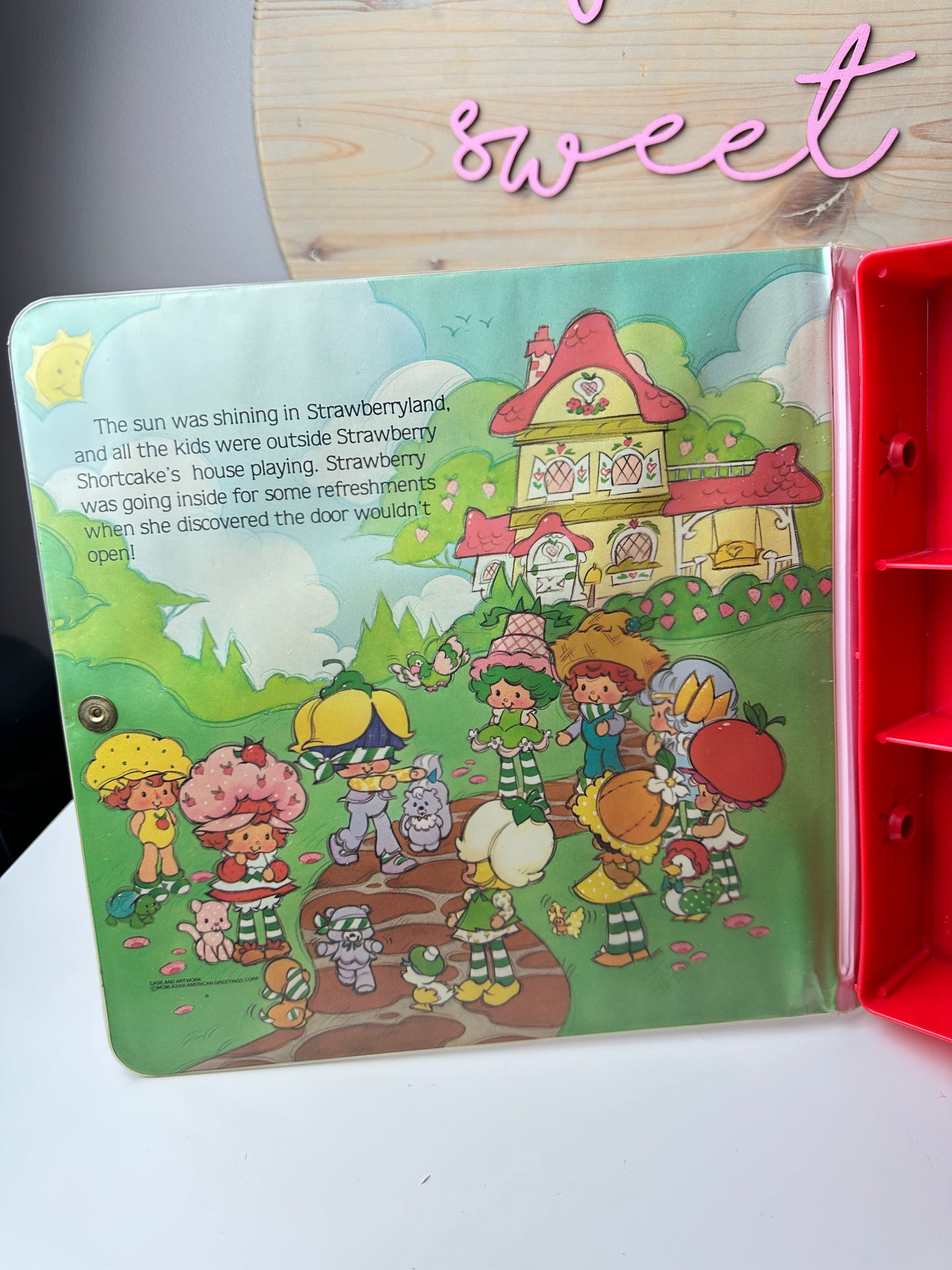 1984 Kenner Strawberry Shortcake Storybook Carry Case *Berry Vault*