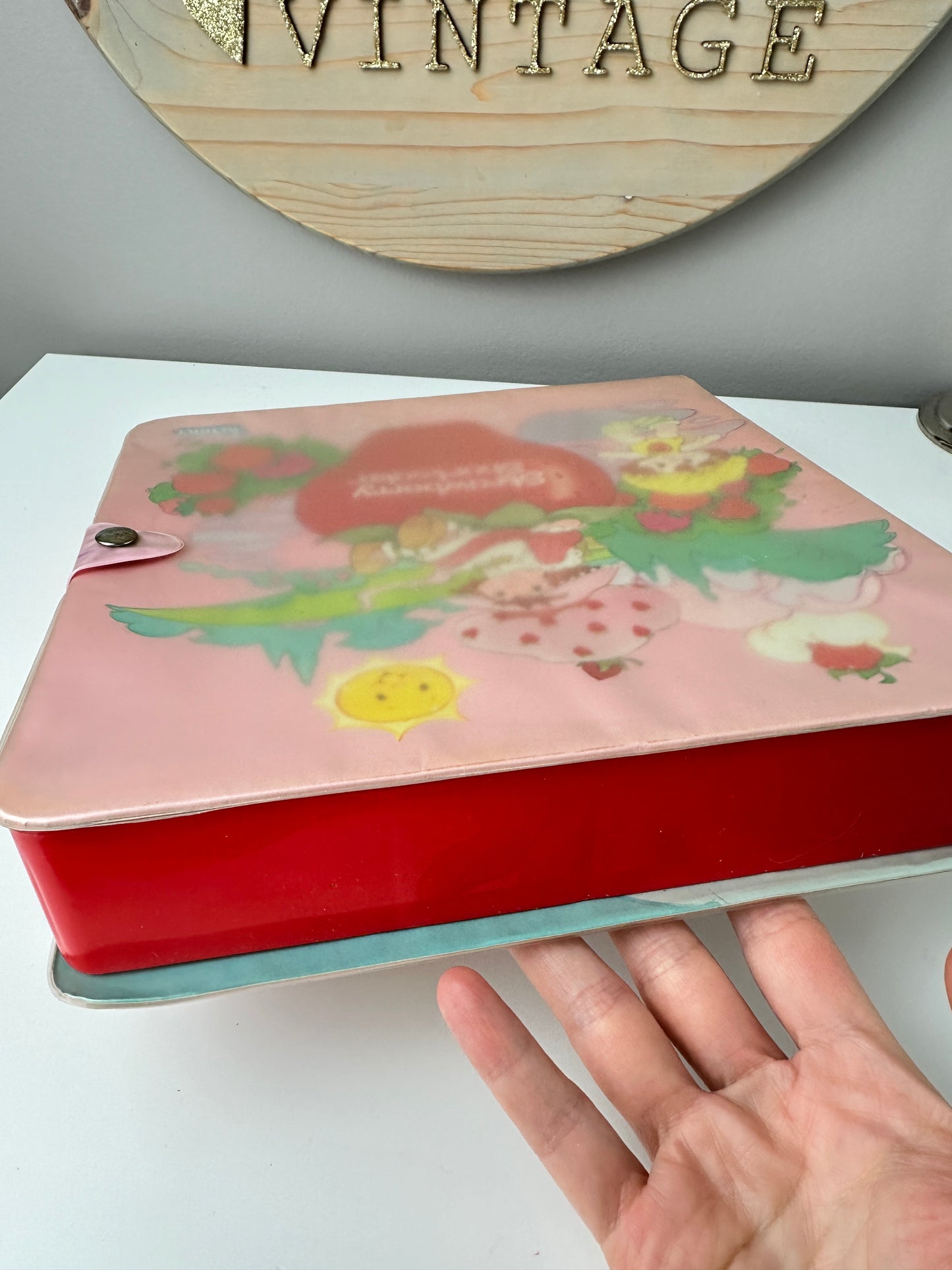 1984 Kenner Strawberry Shortcake Storybook Carry Case