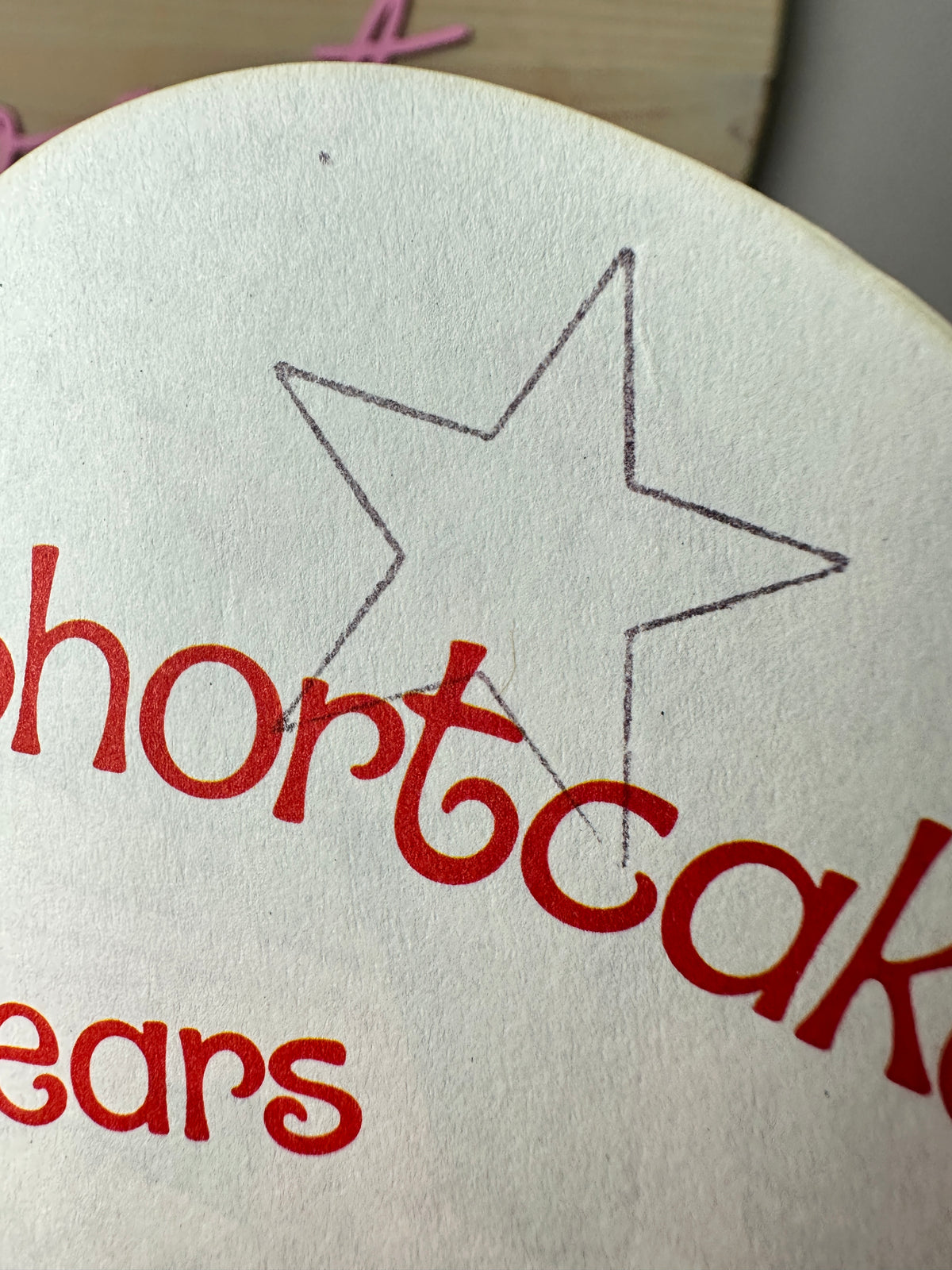 1983 Strawberry Shortcake and the Berry Bears Book