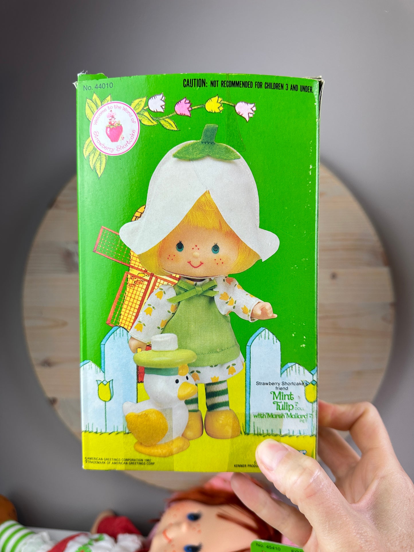 [RESERVED] 1983 Kenner Strawberry Shortcake Mint Tulip with Marsh Mallard Doll with Box