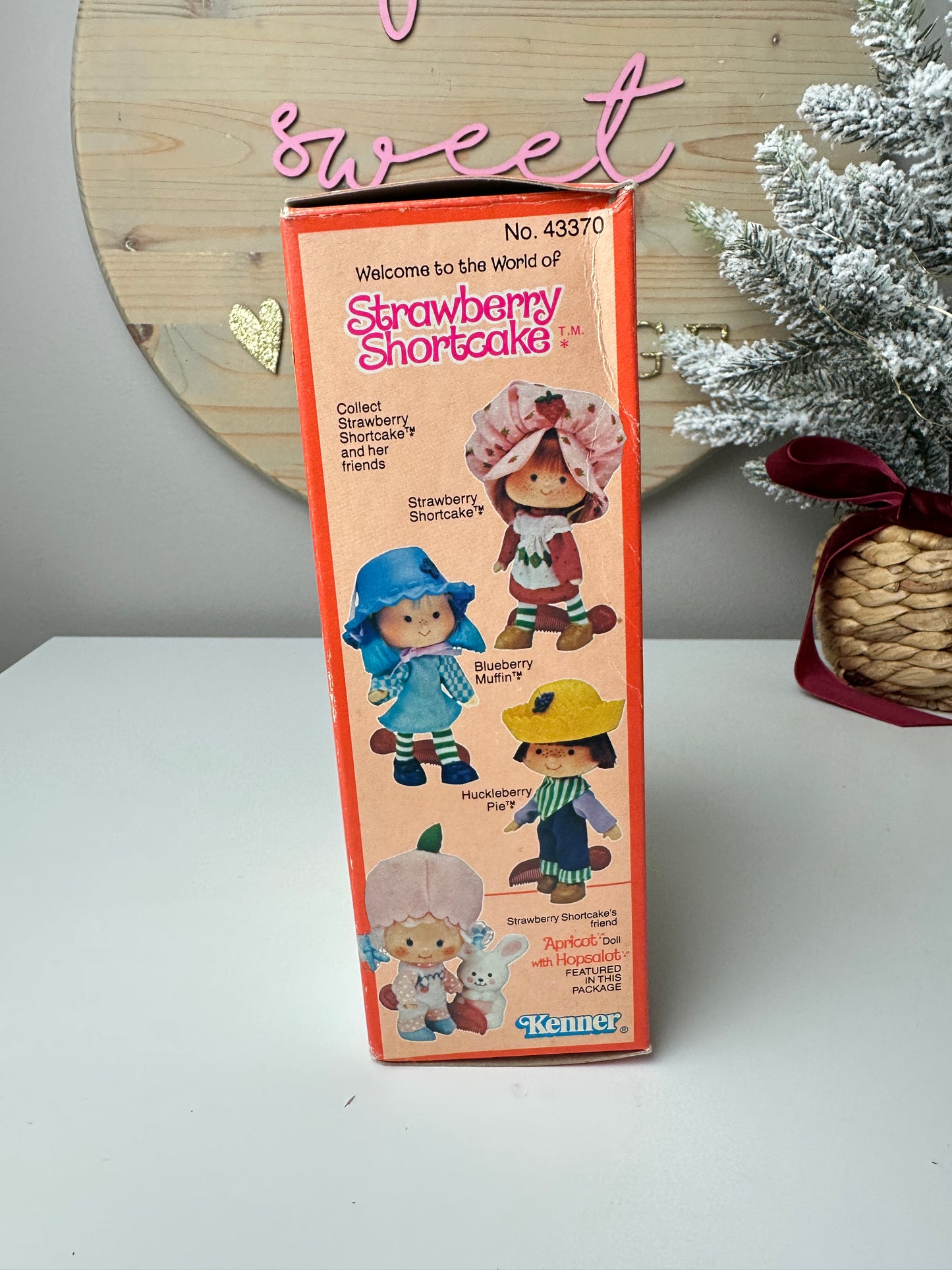 1980 Kenner Strawberry Shortcake Apricot with Hopsalot Doll MIB