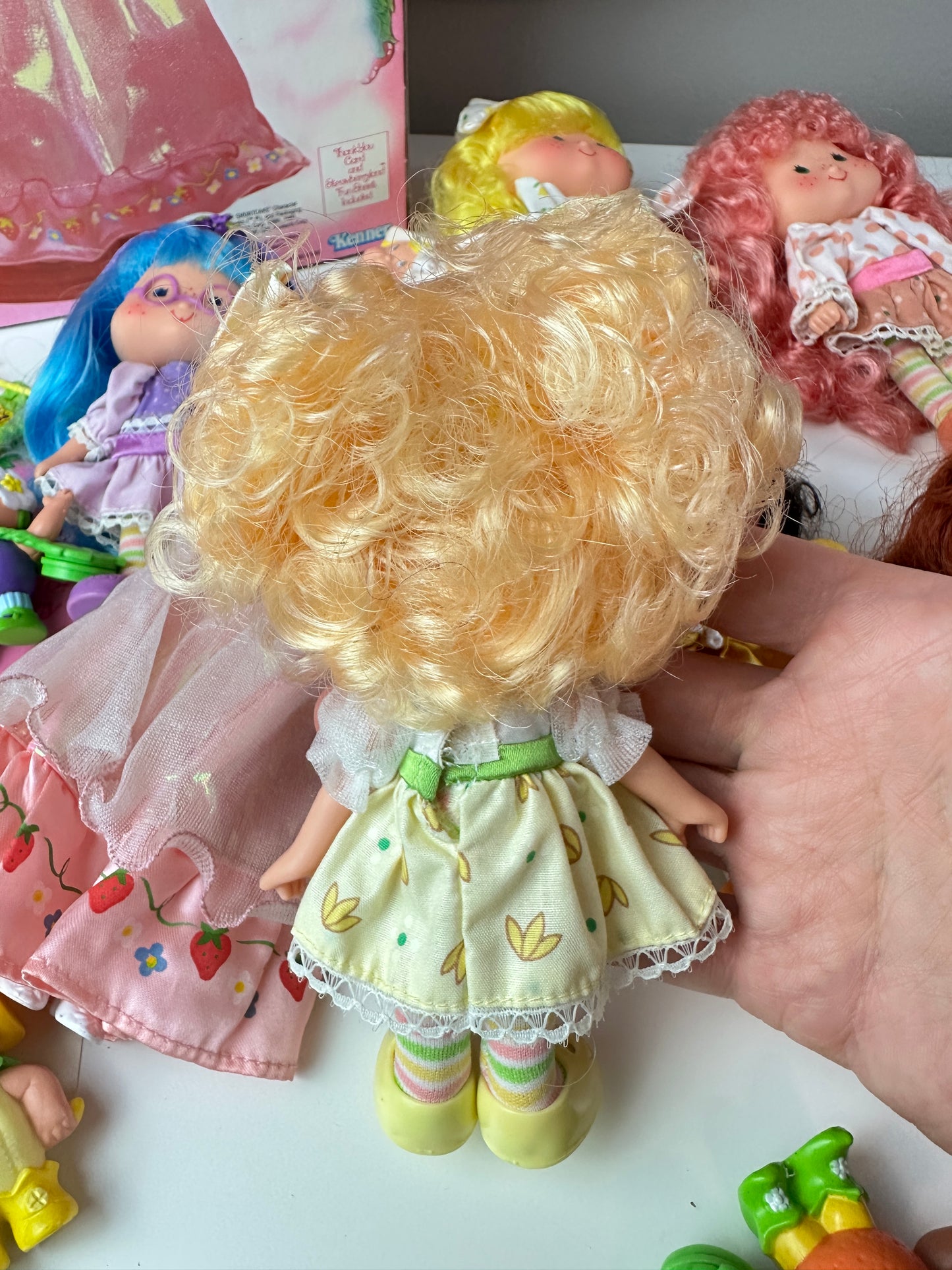 1985 Kenner Strawberry Shortcake COMPLETE Berrykin Doll Collection *Berry Vault*