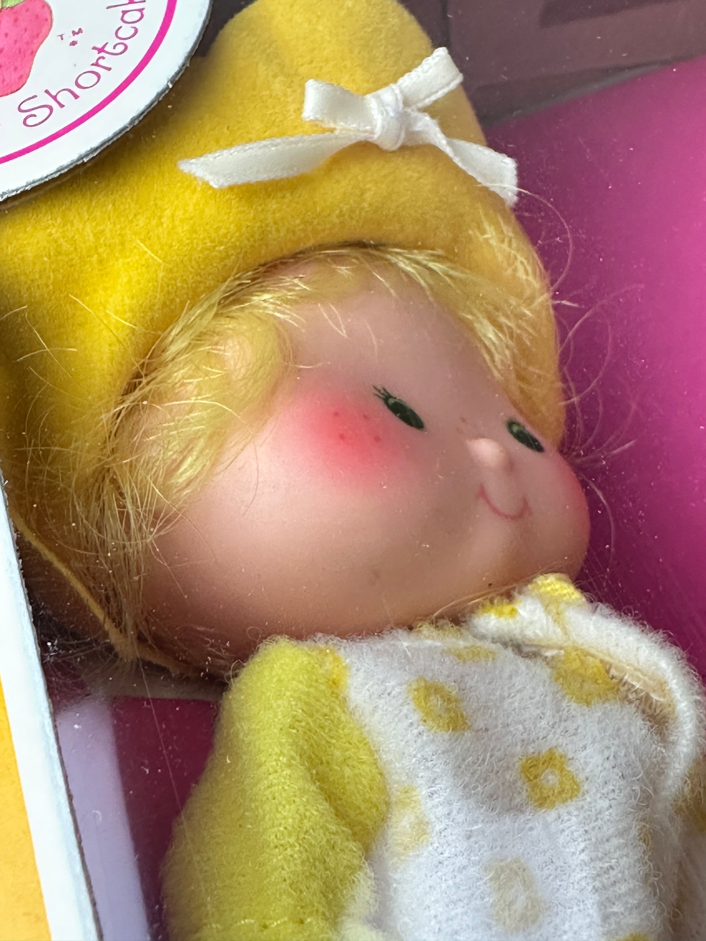 1982 Kenner Strawberry Shortcake Butter Cookie with Jelly Bear Doll NRFB Factory Sealed