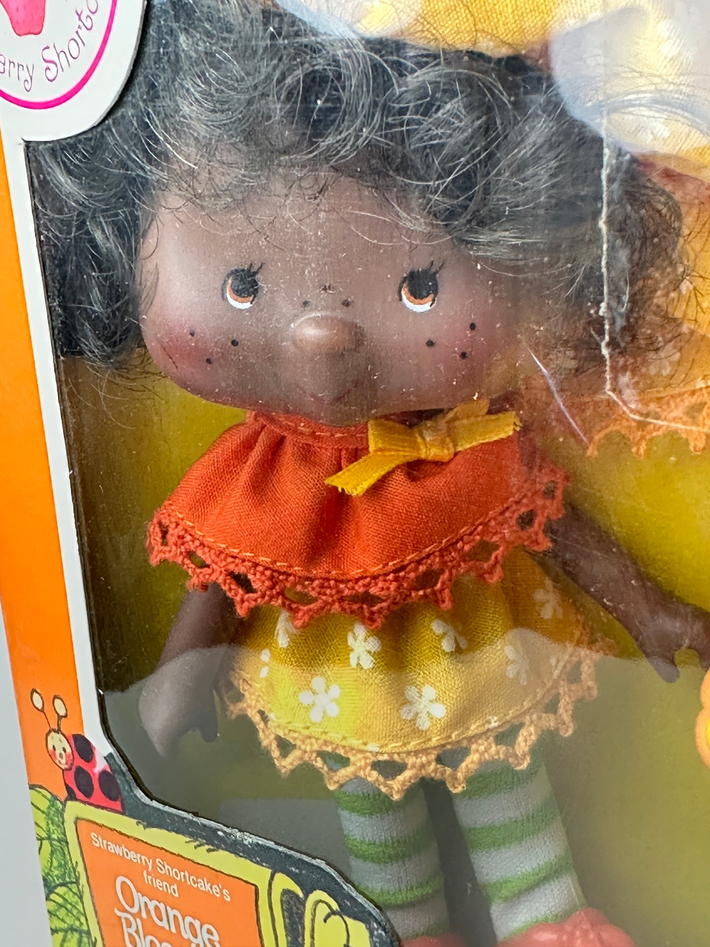 1982 Kenner Strawberry Shortcake Orange Blossom with Marmalade Doll NRFB Sealed