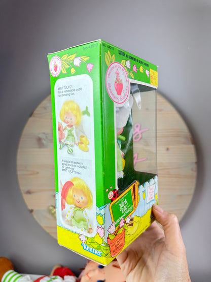 [RESERVED] 1983 Kenner Strawberry Shortcake Mint Tulip with Marsh Mallard Doll with Box