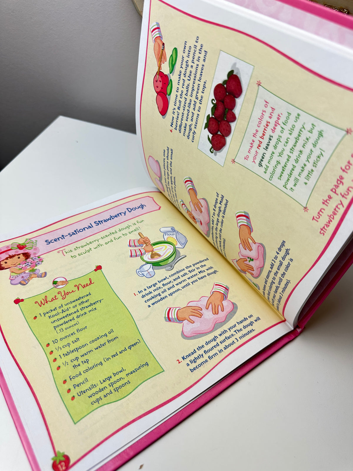 2004 TCFC Scholastic Strawberry Shortcake Berry Fun Book