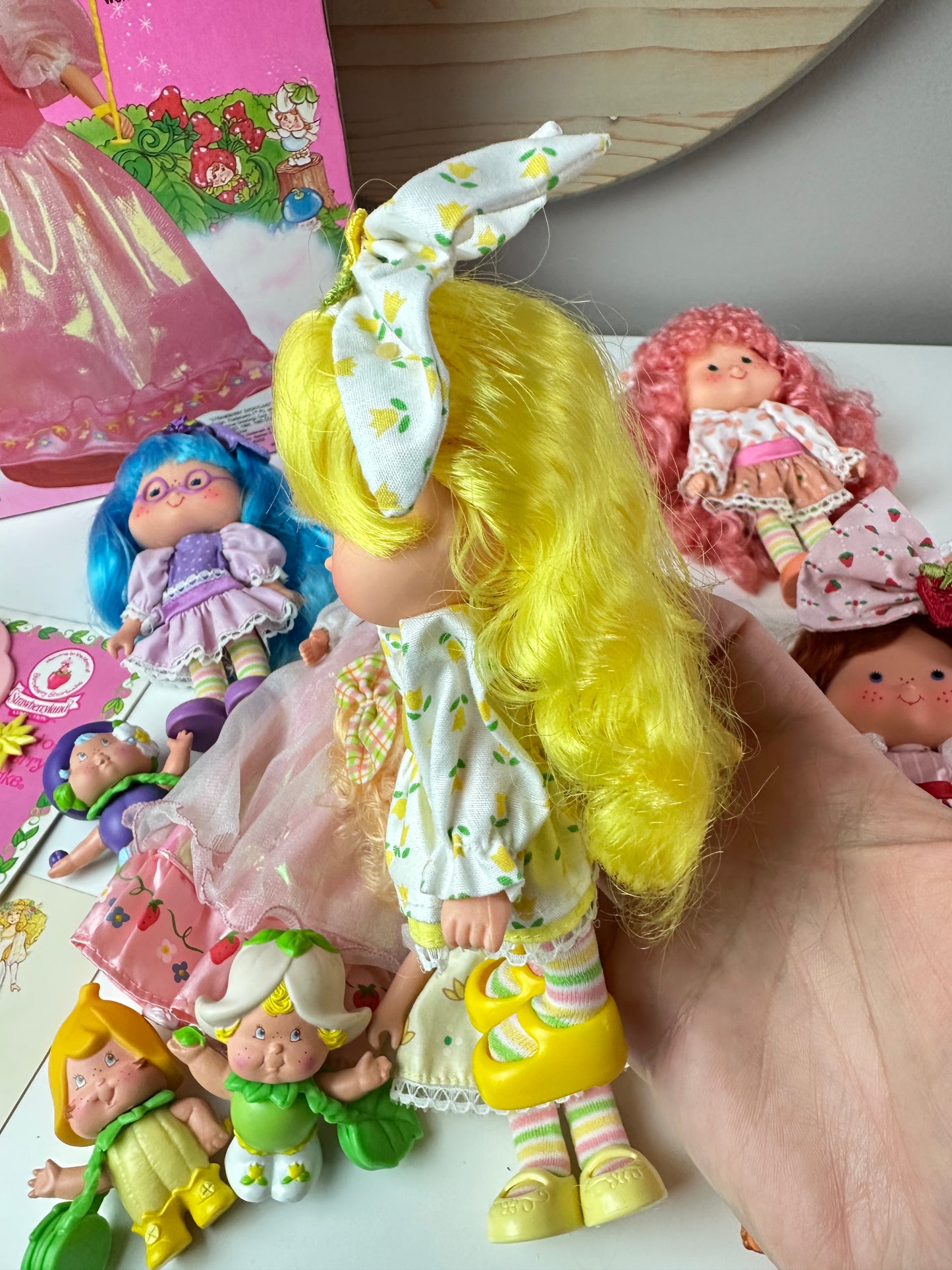 1985 Kenner Strawberry Shortcake COMPLETE Berrykin Doll Collection *Berry Vault*