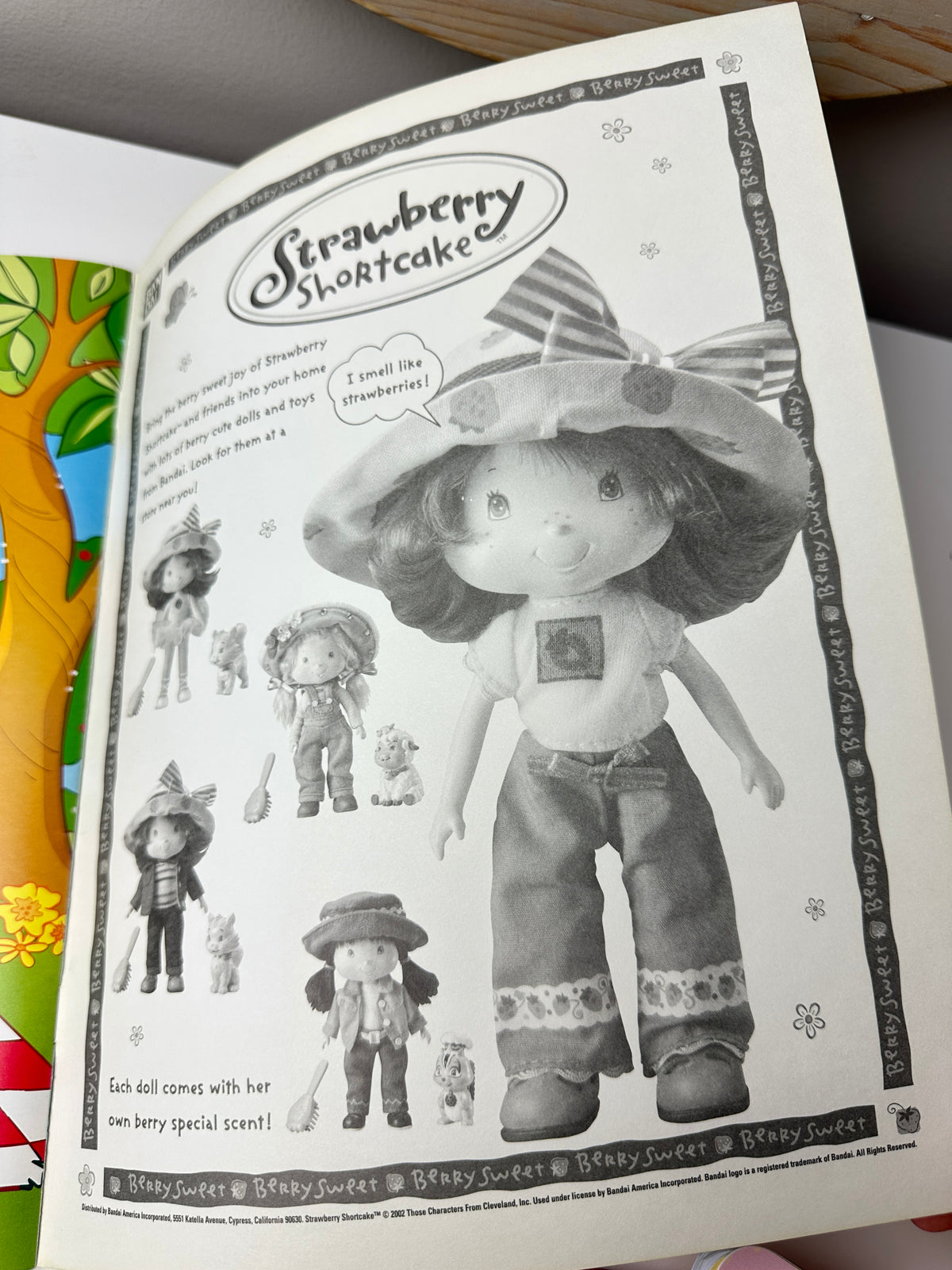 2003 TCFC Grosset & Dunlap Strawberry Shortcake Sticker Stories Book [Unused]