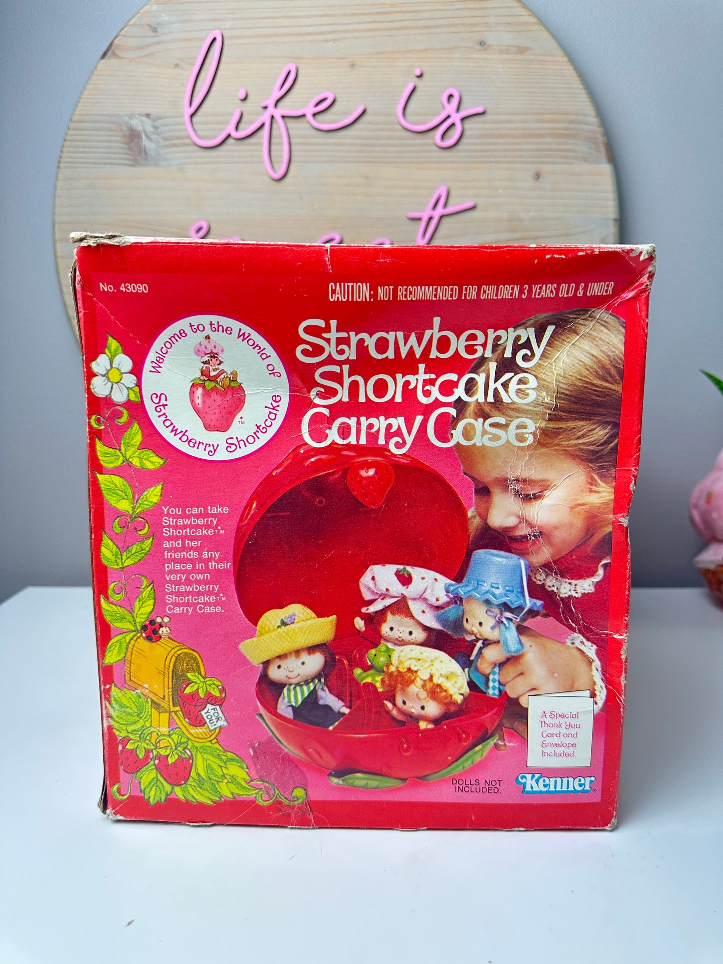 1980 Kenner Strawberry Shortcake Strawberry Shaped Doll Carry Case MIB