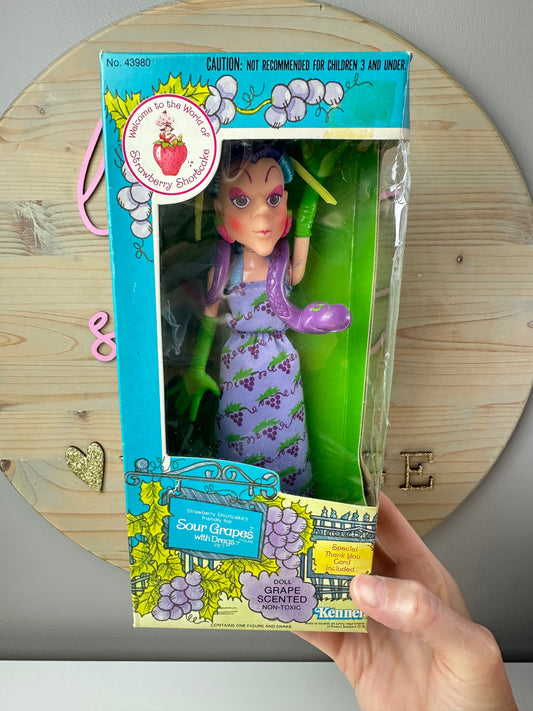 1982 Kenner Strawberry Shortcake Sour Grapes with Dregs Doll NRFB Sealed
