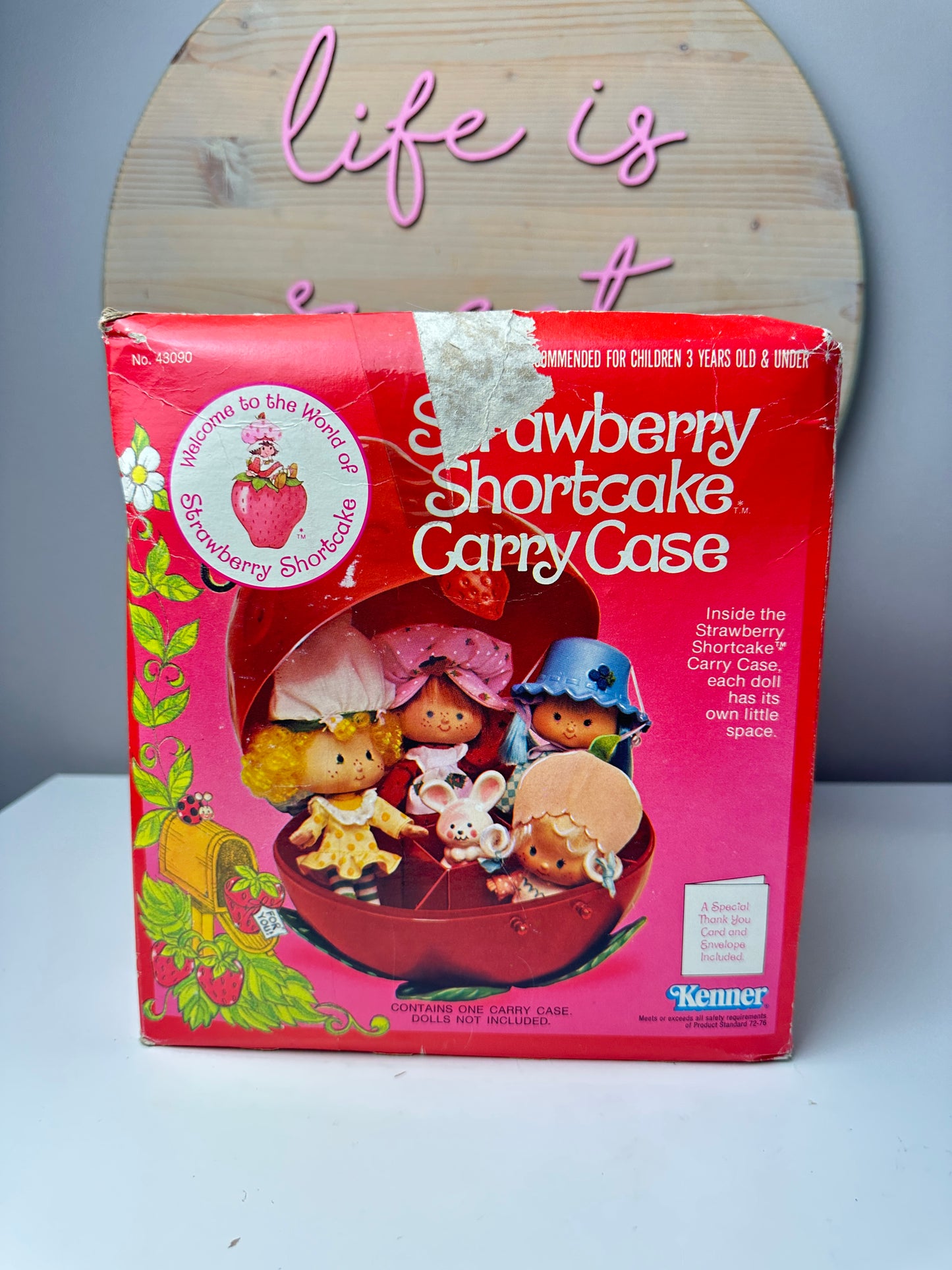 1980 Kenner Strawberry Shortcake Strawberry Shaped Doll Carry Case MIB